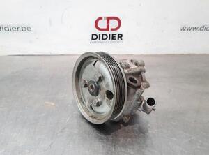 Power steering pump FIAT DOBLO Cargo (263_), FIAT DOBLO Platform/Chassis (263_)