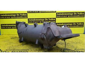 Catalytic Converter NISSAN Pathfinder III (R51)