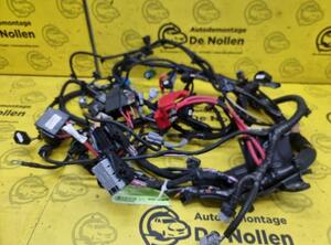 Wiring Harness RENAULT Captur I (H5, J5), RENAULT Clio IV (BH)