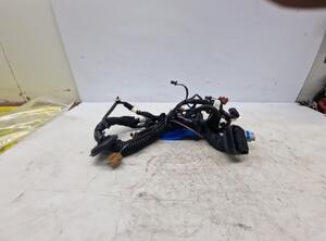 Wiring Harness RENAULT ZOE (BFM_)