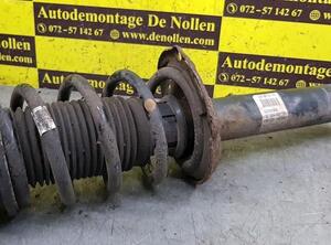 Suspension Strut AUDI A3 (8V1, 8VK)