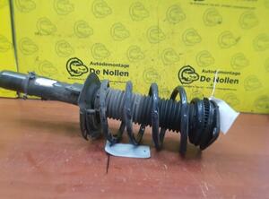 Suspension Strut FORD Focus III (--)