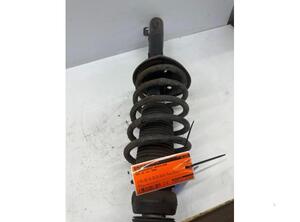 Suspension Strut AUDI A3 (8L1)