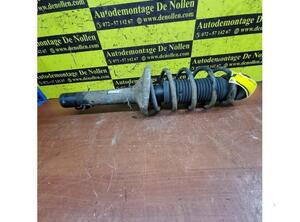 Suspension Strut VW Golf IV (1J1)