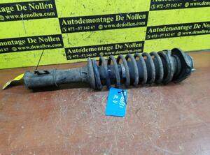 Suspension Strut SUZUKI Alto (HA12, HA23)