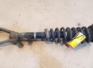 Shock Absorber MAZDA 6 Station Wagon (GY)