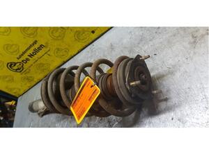 Shock Absorber FORD Transit Connect (P65, P70, P80)