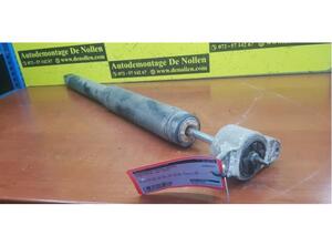 Shock Absorber FORD Focus III (--)