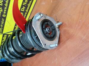 Shock Absorber FORD KA+ (FK, UK)