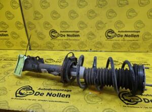 Shock Absorber FORD Fiesta VI (CB1, CCN)