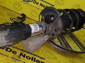 Shock Absorber FORD Fiesta VI (CB1, CCN)