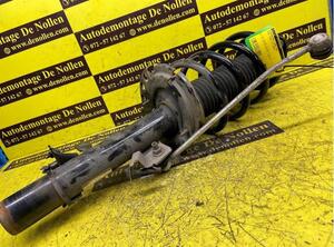 Shock Absorber FORD Kuga II (DM2)