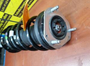 Shock Absorber FORD KA+ (FK, UK)