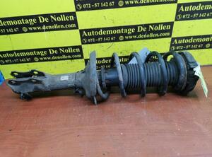 Shock Absorber SEAT Ibiza II (6K1)