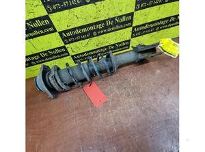 Shock Absorber SUZUKI Alto (FF)