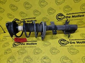 Shock Absorber RENAULT CLIO III (BR0/1, CR0/1), RENAULT CLIO IV (BH_)