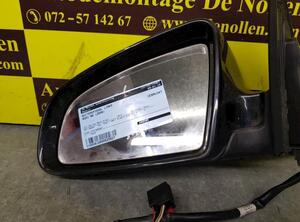 Wing (Door) Mirror AUDI A6 (4F2, C6)