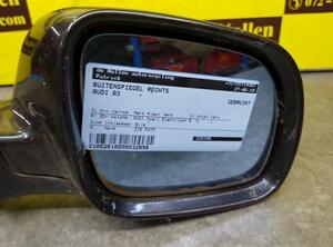 Wing (Door) Mirror AUDI A3 (8L1)