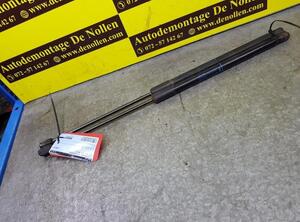 Gas Spring AUDI A3 (8V1, 8VK)