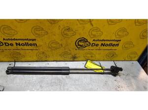 Gas Spring FORD Fiesta VI (CB1, CCN)