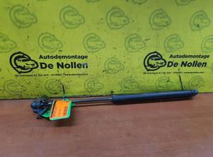 Gas Spring FORD Fiesta VI (CB1, CCN)