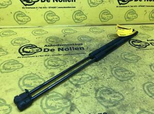 Bootlid (Tailgate) Gas Strut Spring DACIA Sandero (--), DACIA Sandero II (--)