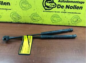 Bootlid (Tailgate) Gas Strut Spring KIA Picanto (TA)