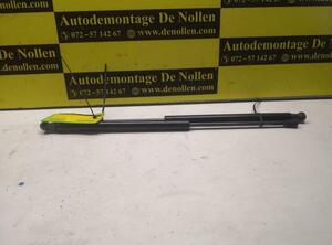 Bootlid (Tailgate) Gas Strut Spring FIAT 500/595/695 (312), FIAT 500C/595C/695C (312)