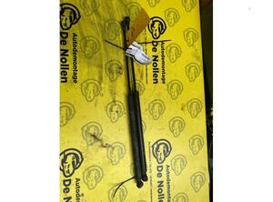 Bootlid (Tailgate) Gas Strut Spring PEUGEOT 207 (WA, WC)