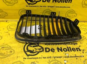 Kühlergrill links BMW 1er E87  P17474894