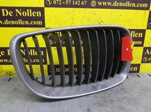 Radiateurgrille BMW 1er (E87)