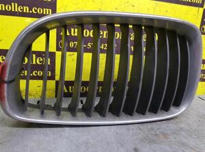 Radiator Grille BMW 1er (E87)