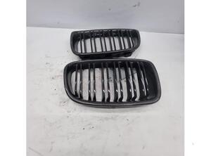 Radiateurgrille BMW 1er (F21)