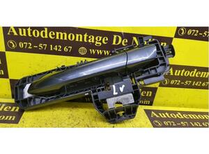 Door Handle MERCEDES-BENZ E-Klasse (W212)