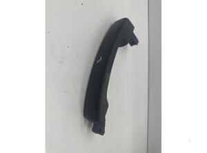 Door Handle RENAULT Master III Kasten (FV)