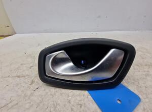 Door Handle RENAULT ZOE (BFM_)