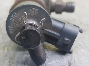 Injector Nozzle PEUGEOT 207 (WA, WC)