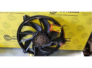 Radiator Electric Fan  Motor PEUGEOT 206 Schrägheck (2A/C), PEUGEOT 206 Stufenheck (--)