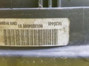 Elektrolüfter Peugeot 207 CC  1253H4 P12327754