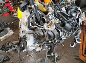 Bare Engine NISSAN Qashqai II SUV (J11, J11)