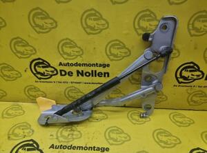 Heckklap hinge AUDI TT (8J3)