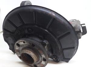 Stub Axle VW PASSAT (3C2)