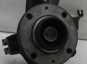 Stub Axle PEUGEOT 206 Schrägheck (2A/C)