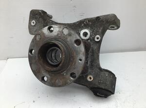 Stub Axle AUDI A6 (4F2, C6)