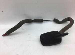 Antenne AUDI A4 Avant (8ED, B7), AUDI A4 Avant (8E5, B6)