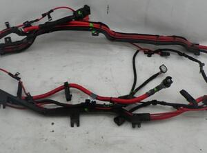 Wiring Harness BMW X5 (E70)