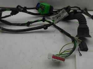 Door Wiring Harness FORD FOCUS (DAW, DBW)