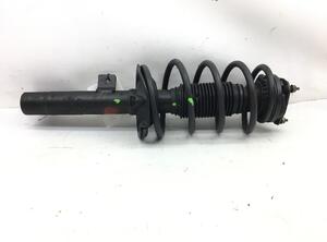 Suspension Strut FORD TRANSIT CONNECT (P65_, P70_, P80_)