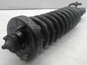 Suspension Strut ROVER 600 (RH)