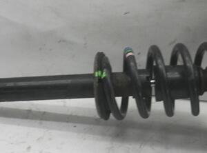 Suspension Strut AUDI A4 Avant (8ED, B7)